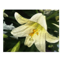 Textured Lilly Postcards