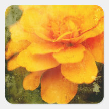 Textured Marigold Square Stickers