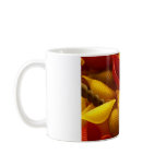 textures mugs