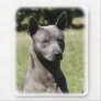 Thai Ridgeback 9Y815D-273 Mousepads