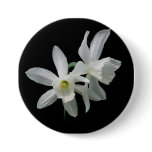 Thalia Button