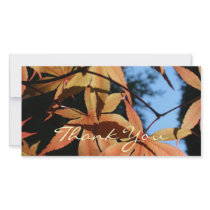 Thank You (2) - Japanese Maple Personalized Photo Card