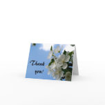 Thank you! apple blossom note cards