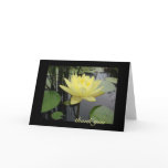 Thank You - Beautiful Water Lily