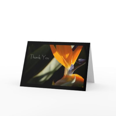 THANK YOU Bird-of-Paradise Card by pulsDesign