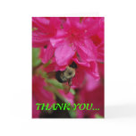 Thank You Card