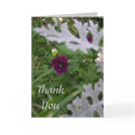 Thank You cards