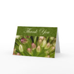 Thank You Cards