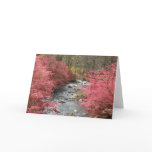 Thank You cards