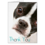 Thank You Card