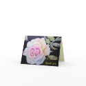 Thank you card - A special thank you