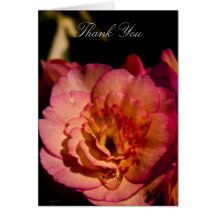 Thank You Card - Begonia Flower