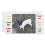 Thank You Card photo cards