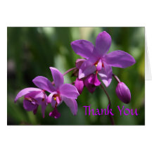 Thank You Card - Wild Purple Orchids