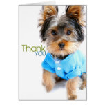Thank You Card_Yorkie
