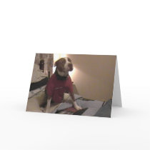 Thank You Cards