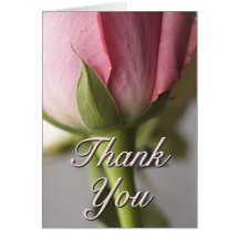 Thank You cards