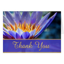 Thank You cards