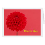 thank you cards
