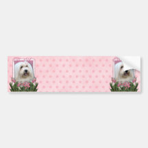 Thank You - Coton de Tulear Bumper Stickers
