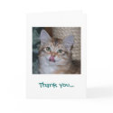 Thank You For Dinner Card