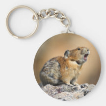 Thank You Gift Key Chains
