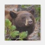 Thank You Gift Refrigerator Magnet