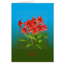 Thank You, Grazie, Italian Cards