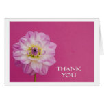 thank you greeting card