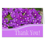 Thank You! Greeting Cards