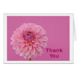 Thank You Greeting Cards