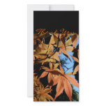 Thank you - Japanese maple - photo cards