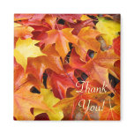 Thank You! magnet Fall Tree Leaves Autumn