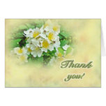 Thank You Multiflora Roses Cards