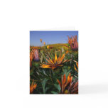 Thank you note: Field of Flowers Greeting Card