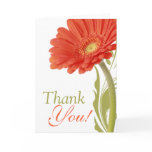 Thank You | Orange Gerbera Daisy cards