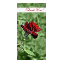 Thank You Photo Card