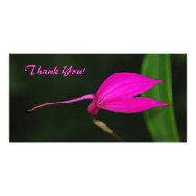 Thank You Photo Card