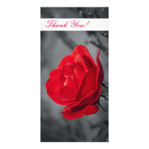 Thank You Photo Card