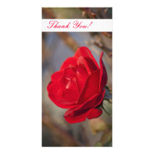 Thank You Photo Card