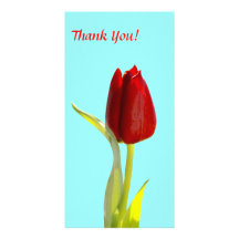 Thank You Photo Card