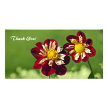Thank You Photo Card