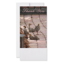 Thank You, Photo Card