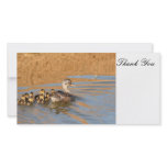 Thank You, Photo Card photo cards