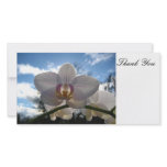 Thank You, Photo Card photo cards