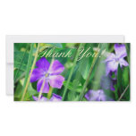 "Thank You", Photo Card