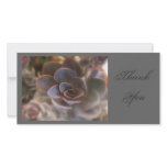 Thank  You, Pink Succulent photo cards