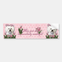 Thank You - Pink Tulips - Bichon Frise Bumper Stickers
