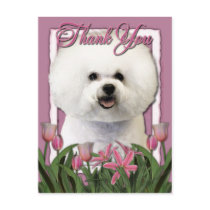Thank You - Pink Tulips - Bichon Frise