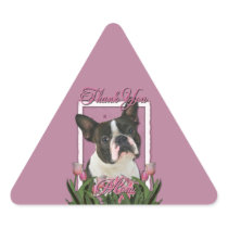 Thank You - Pink Tulips - Boston Terrier